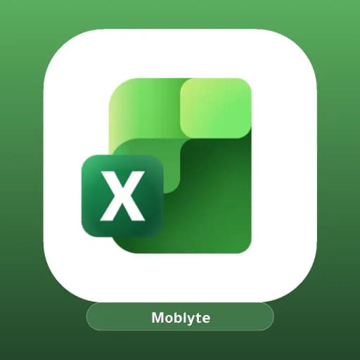 Excel Spreadsheet