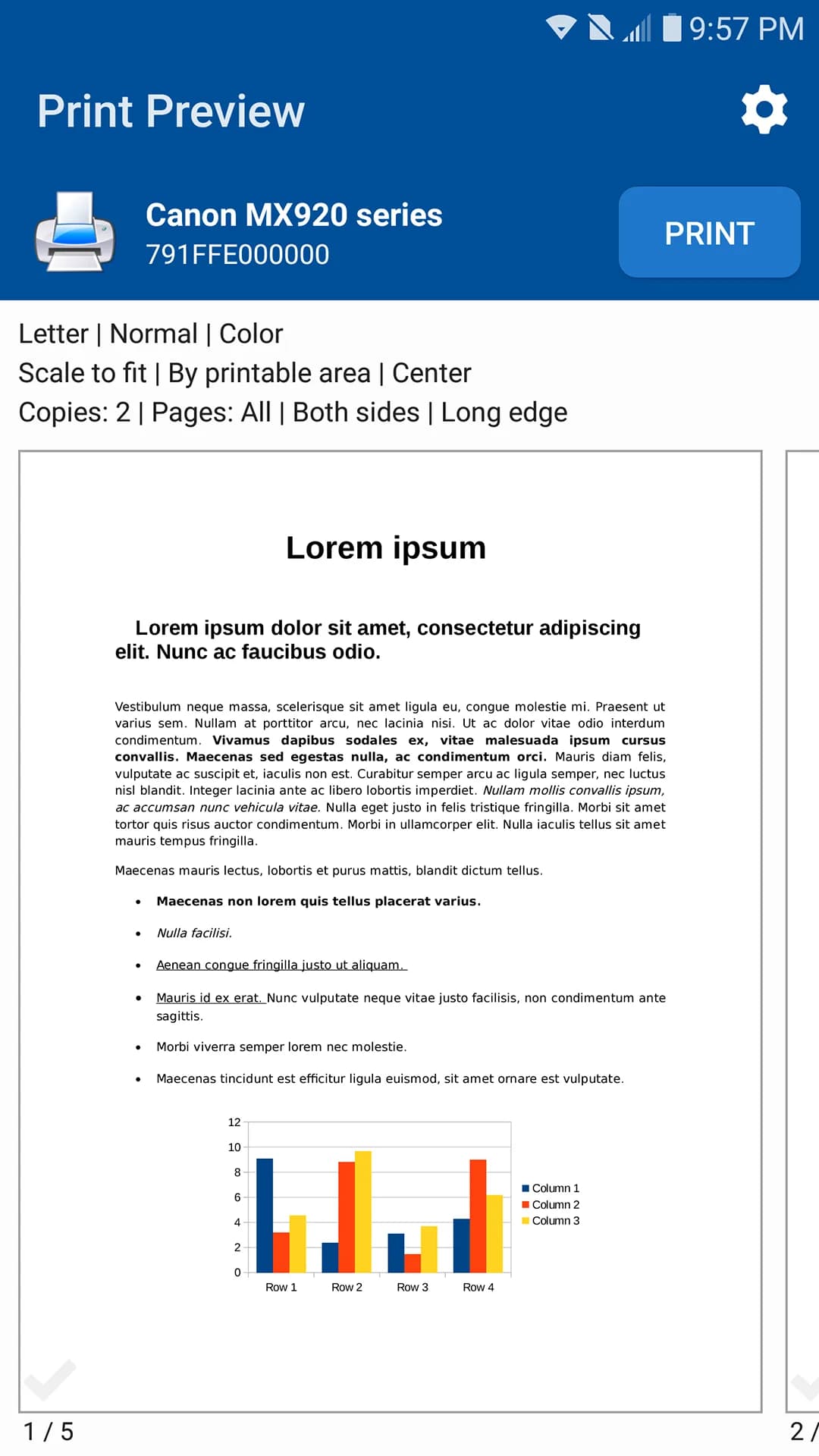 NokoPrint — Capture d’écran 3